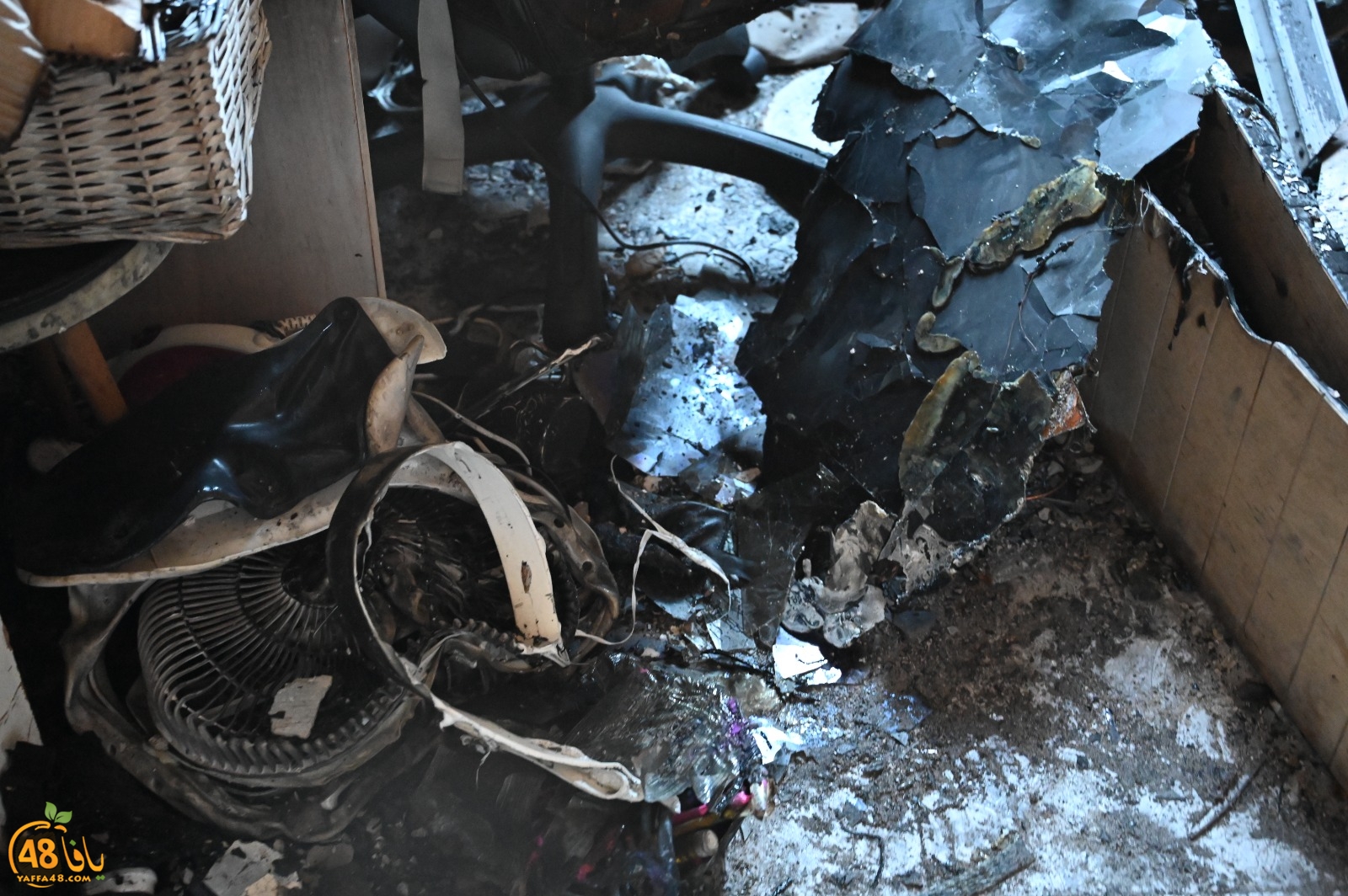 WhatsApp Image 2023-08-03 at 6.56.52 PM (1).jpeg